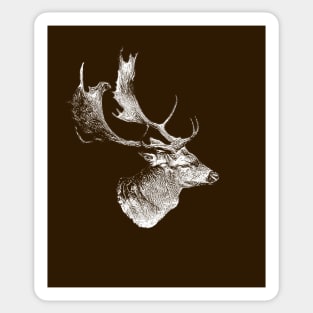 Fallow deer Sticker